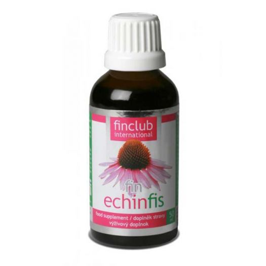 Echinacea má posilňující vliv na organismus a na aktivitu bílých krvinek, které mají schopnost ničit v těle bakterie a viry.